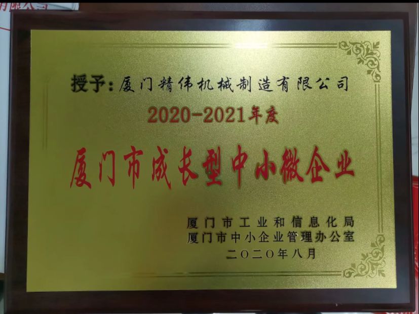 成(chéng)長型中(zhōng)小微企(qi)業2020-2021